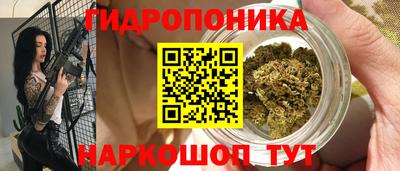 прущие крисы Пенза