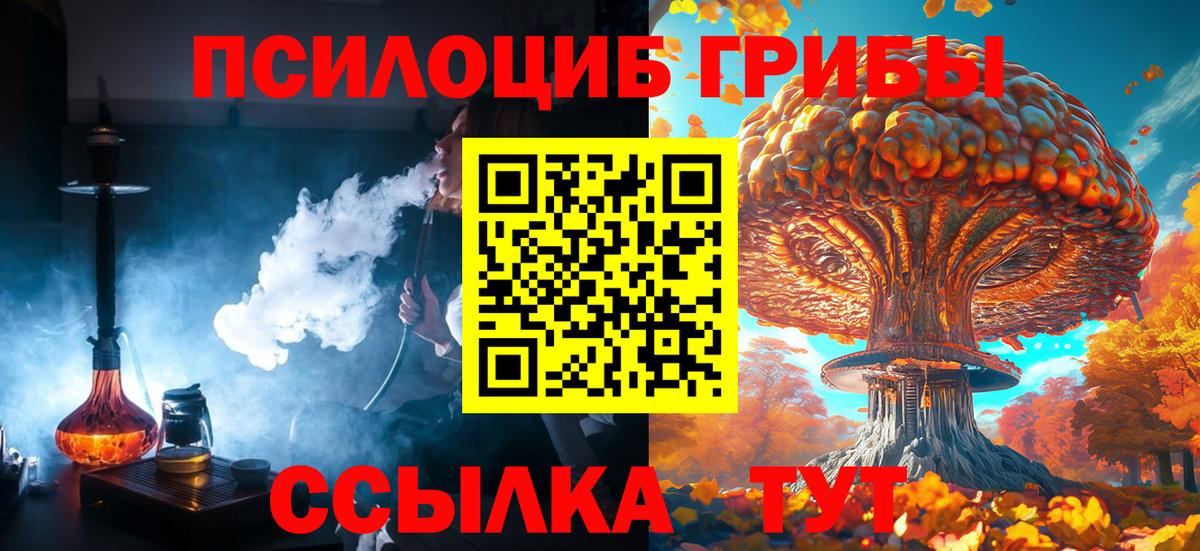 Галлюциногенные грибы Cubensis Прокопьевск